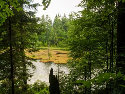 Beautiful green lake in Carpathian mountains in Ukraine