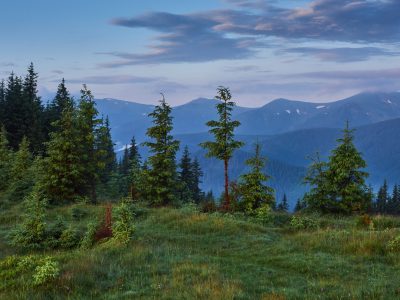 Travel, trekking. Summer landscape - mountains, green grass, trees and blue sky.